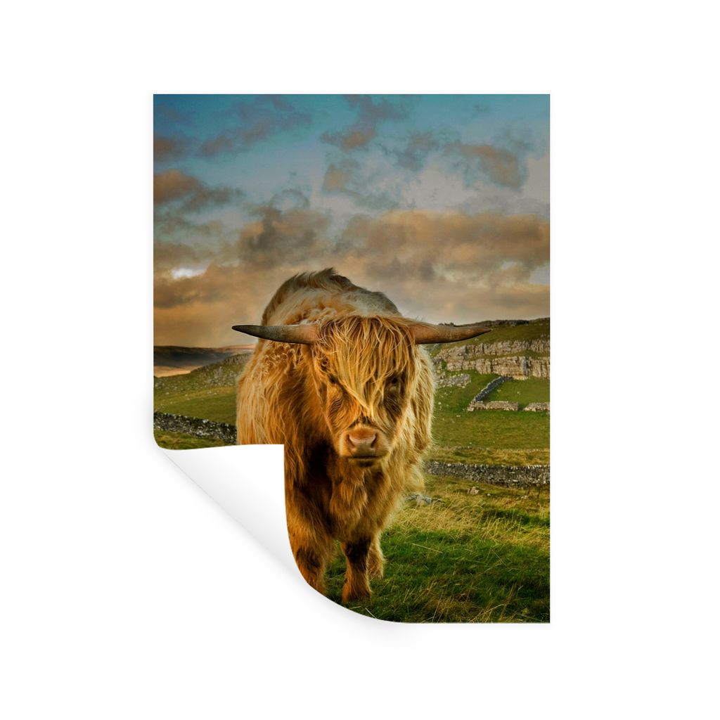 MuchoWow Wandtattoo Wandsticker Wandaufkleber Schottischer Highlander - Gras - Berg 120x160 cm Selbstklebend und Repositionierbar - Wierderverwen...