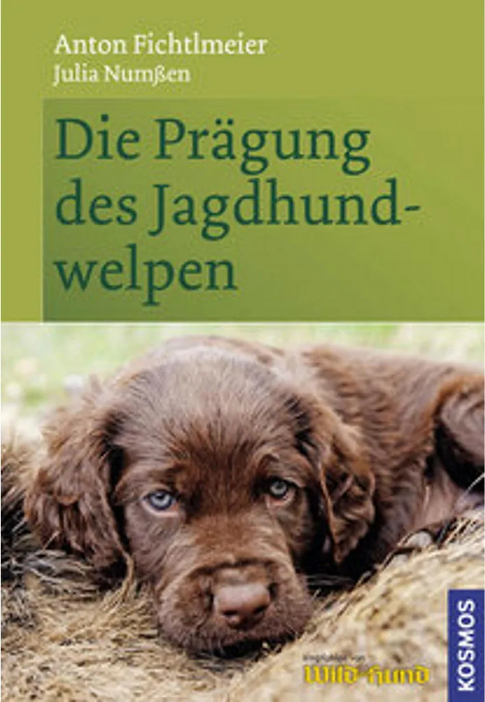 Réussir l'éducation de son chiot avec Die Prägung des Jagdhundwelpen