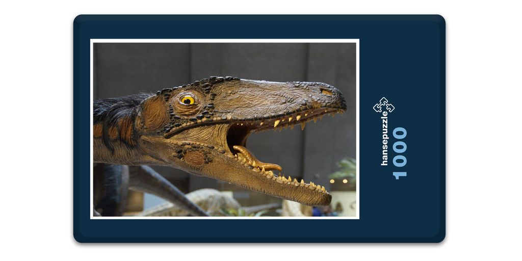 hansepuzzle 11308 - Dinosaurier Puzzle, 1000 Teile, Orte, 60,0 x 46,0cm mit hochwertiger Aufbewahrung, Kartonbox und wiederverschließbarem Beutel