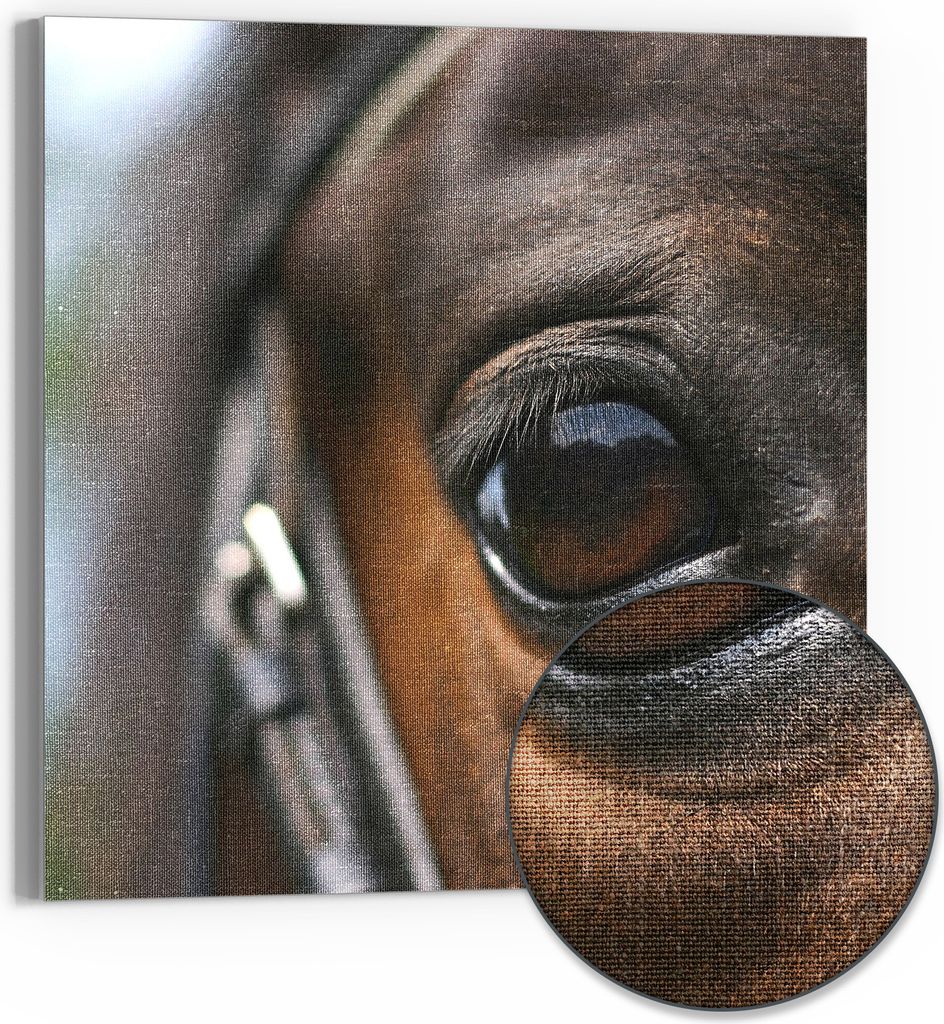 DEQORI Hybrid Leinwand Bild 50x50 cm 'Blick der Verbundenheit' Wandbild Glas flach modern