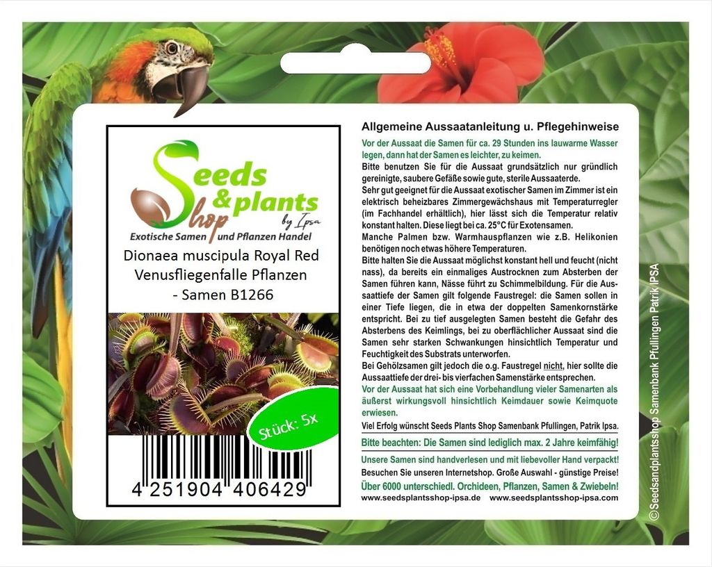 5x Dionaea muscipula Royal Red Venusfliegenfalle Pflanzen - Samen B1266