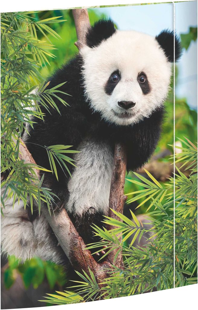 RNK Zeichenmappe Panda DIN A3 Gummizug 310x440mm Produktbild 