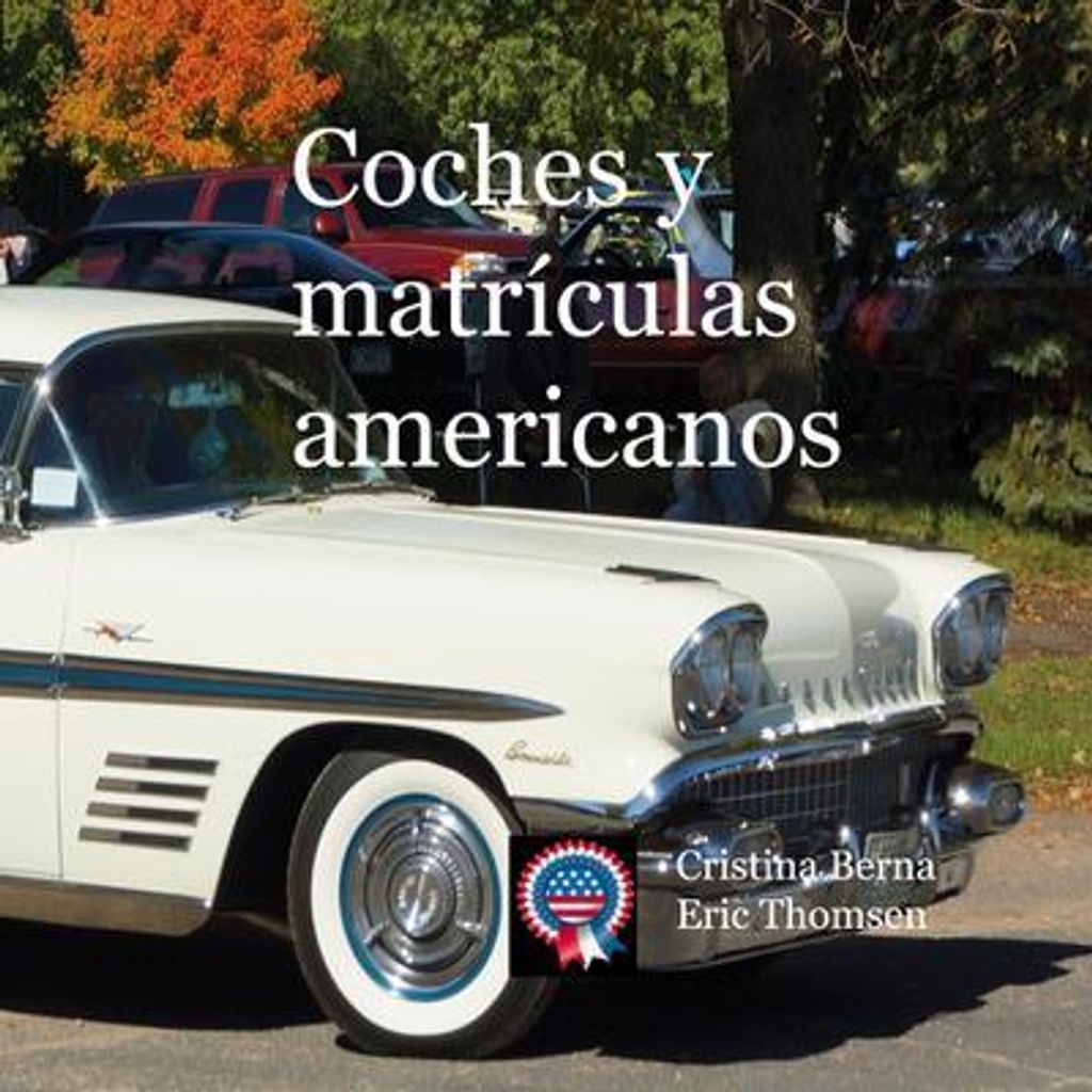 Amerikanische Autos und Nummernschilder