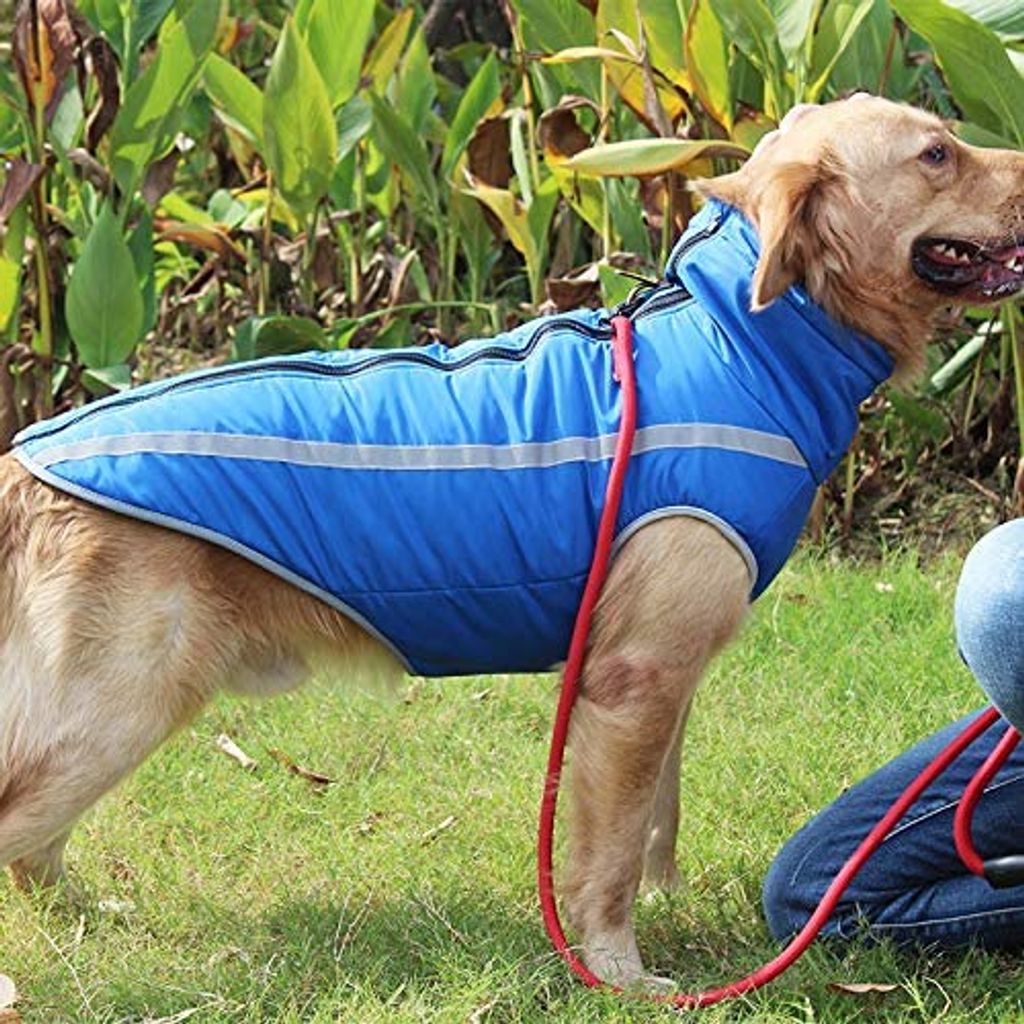 mittelgroße und große Hunde KTENME Outdoor-Sport wasserdichte Hundebekleidung Outfit Weste für kleine schwarzer Regenmantel mit Loch für Geschirr L