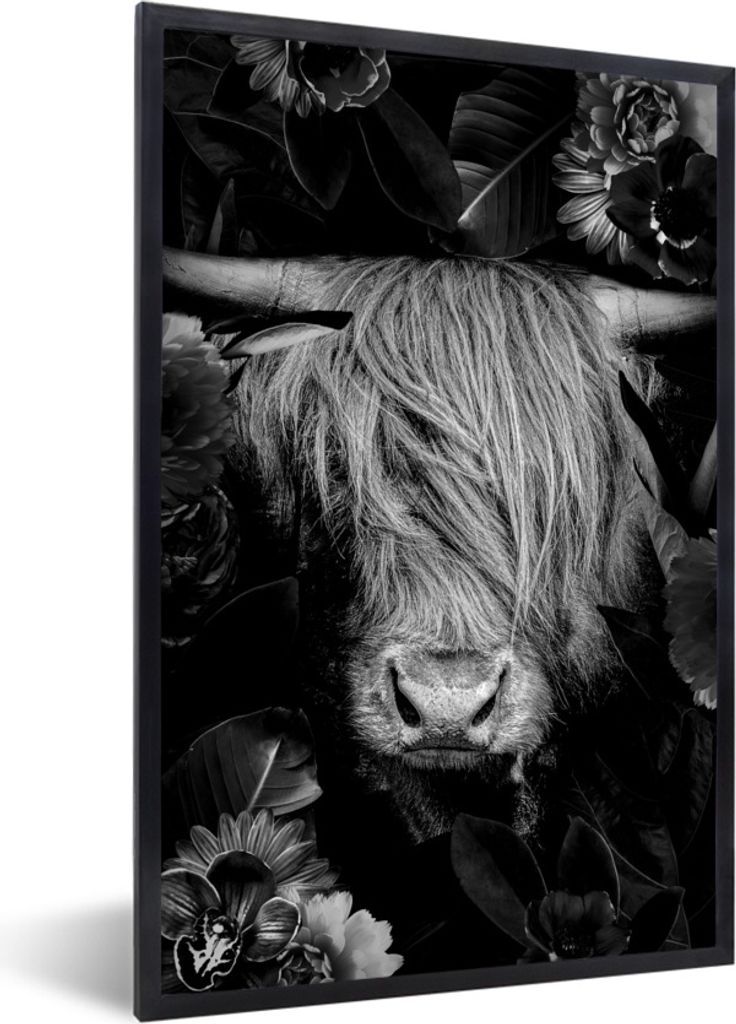 MuchoWow Gerahmtes Poster Botanische schottischen Highlander gegen schwarzen Hintergrund - schwarz und weiß 40x60 cm - Poster mit Schwarzem Bild...