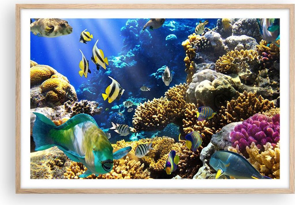 Gerahmtes Poster - Rahmen in heller Eiche - Korallenriff Ozean Krabbe Fisch - 91,5x61 cm - Wand Bild - Wanddeko - Wandbilder - Wandposter - Bilderr...
