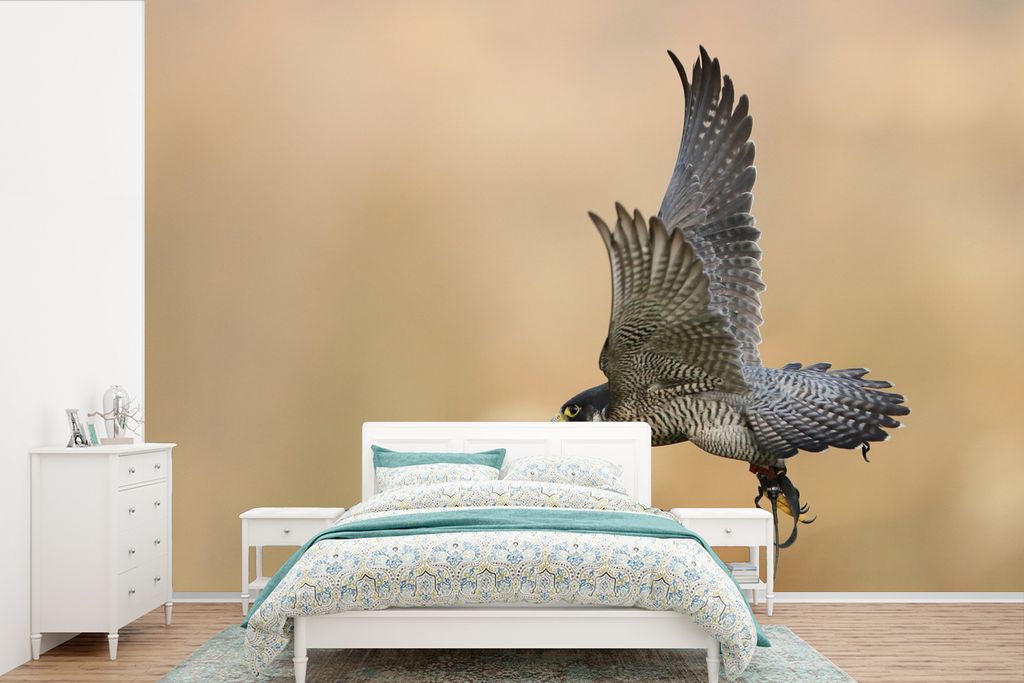 MuchoWow Fototapete für Wohnzimmer oder Schlafzimmer Wandtapete Vinyl Motivtapete Falke - Fliegend - Raubvogel - 360x240 cm - Vinyl-Tapete