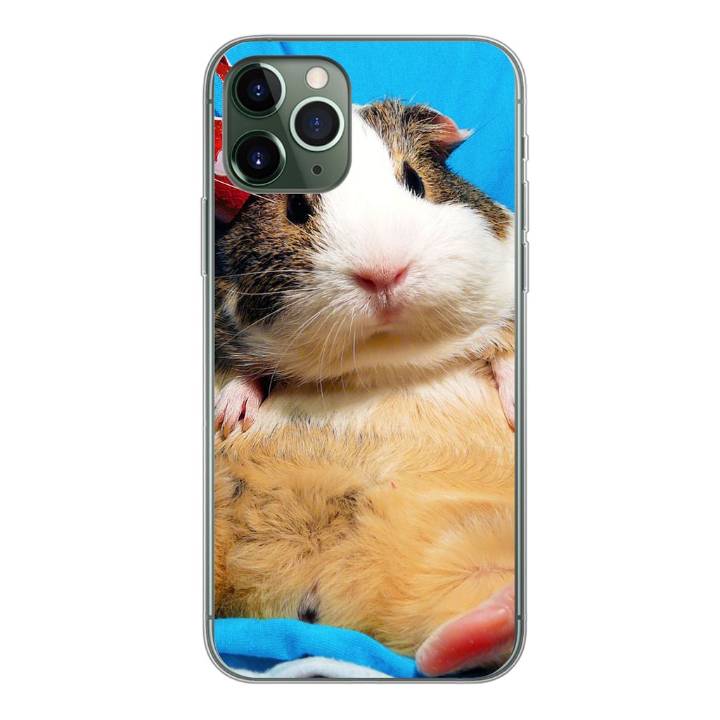 MuchoWow Handyhülle Schutzhülle Hülle für iPhone 11 Pro Meerschweinchen - Lustig - Krone - Kinder - Jungen - Mädchen - Kind Silikon Softcase...