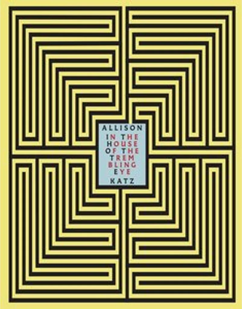 Allison Katz : In the House of the Trembling Eye - Monographie d'Art