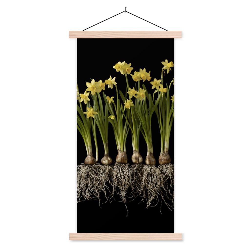 MuchoWow® Textilposter Mehrere Narzissen mit Zwiebeln auf Produktbild 