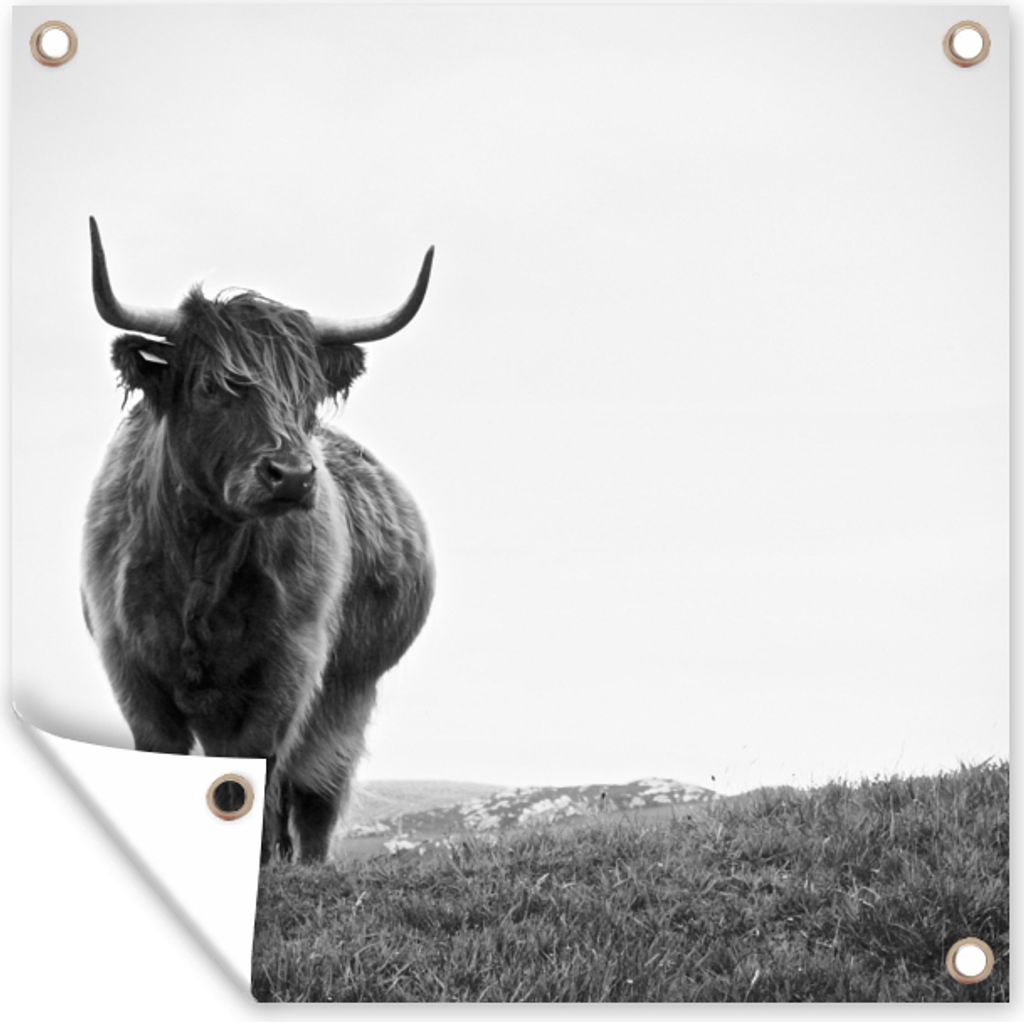 MuchoWow 50x50 cm Outdoor-Poster Gartendeko Sichtschutz Garten Poster für den Garten Tiere - Schottische Hochlandbewohner - Schwarz und weiß - ...