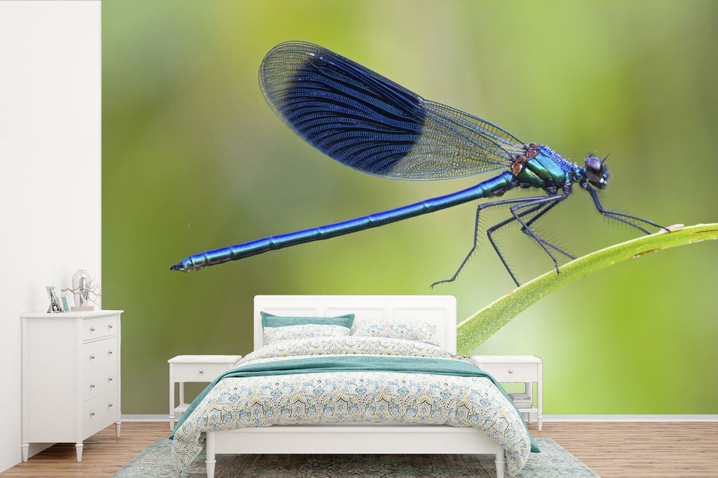 MuchoWow Fototapete für Wohnzimmer oder Schlafzimmer Wandtapete Vinyl Motivtapete Eine leuchtend hellblau gefärbte Libelle - 420x280 cm - Zimme...