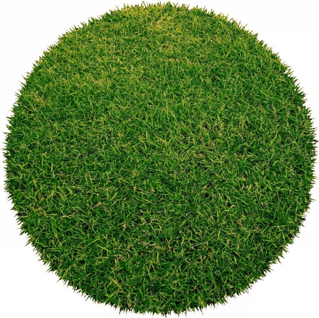 130x130 (diameter) cirkel. Kunstgras "Botanic" cirkel Productafbeelding 
