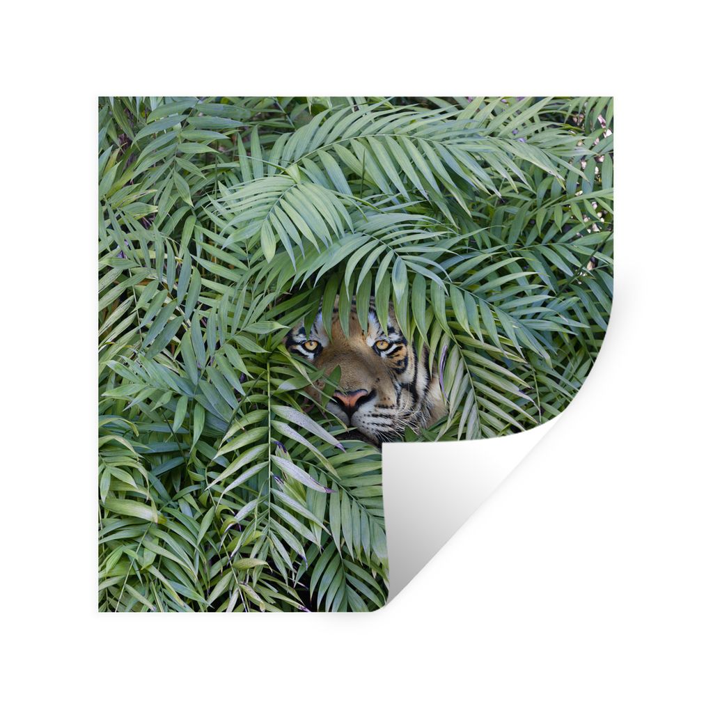 MuchoWow Wandtattoo Wandsticker Wandaufkleber Versteckter Tiger zwischen den Pflanzen 50x50 cm Selbstklebend und Repositionierbar - Selbstklebend...