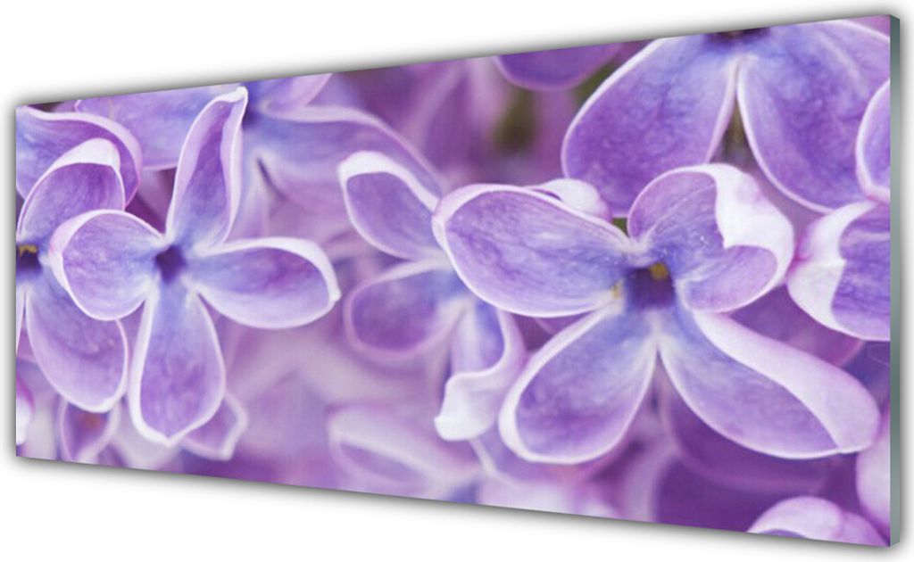 Acrylglasbilder 125x50 Wandbild Druck Blumen Pflanzen