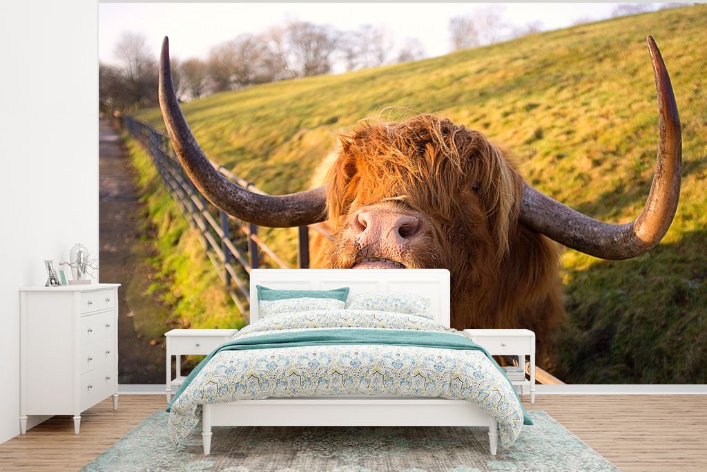 MuchoWow Fototapete für Wohnzimmer oder Schlafzimmer Wandtapete Vinyl Motivtapete Scottish Highlander - Zaun - Gras - 320x240 cm - Tapeten