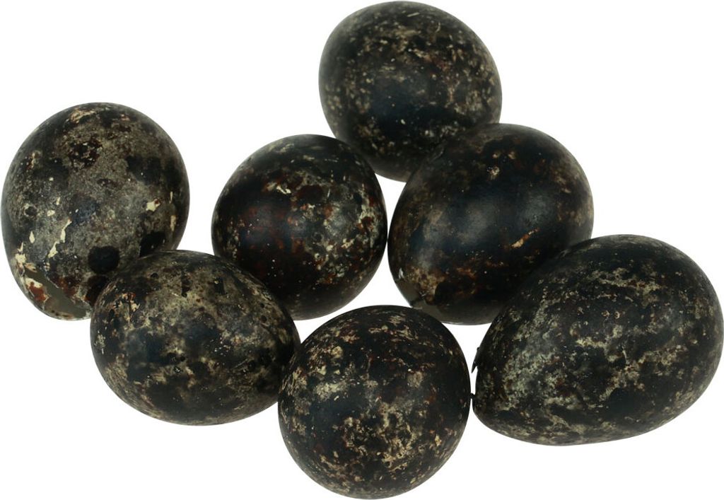 Wachtelei Deko Schwarz Leer 3cm Ostereier Frühlingsdeko Produktbild 