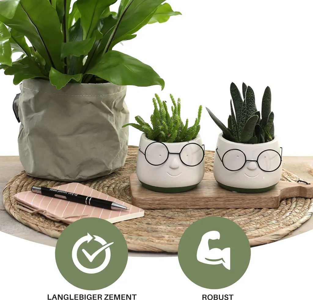 Cache-pot en céramique 6,5 cm pour mini succulentes et cactus - 2 pièces - 2