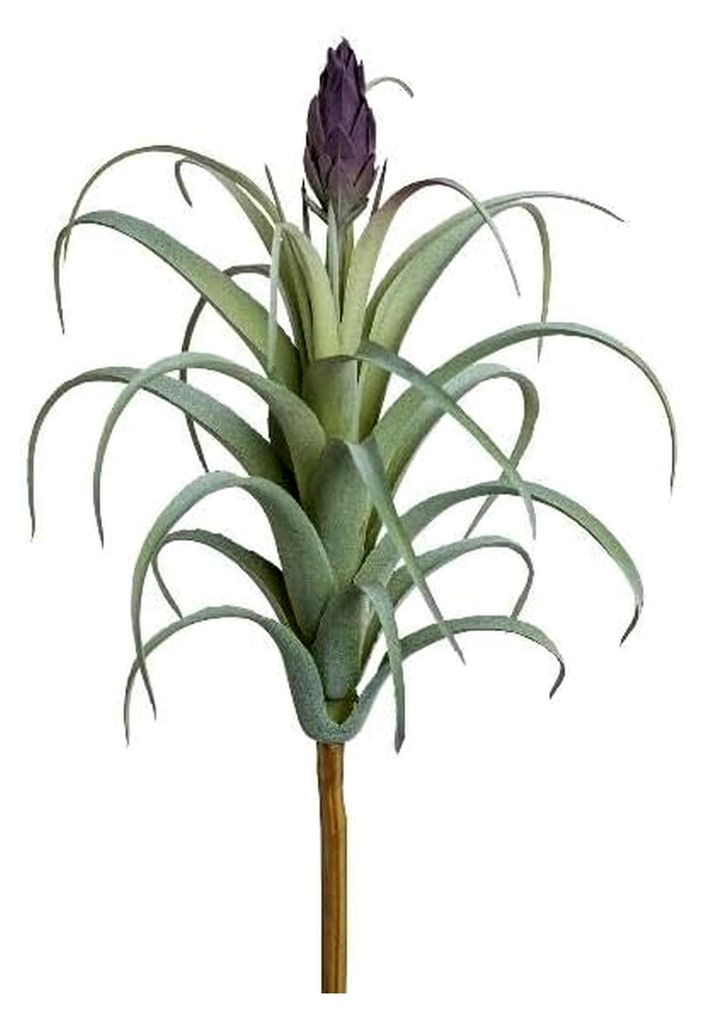 .de Kunst Sukkulente Tillandsia stricta KROST, Steckstab, Blüte, grün-lila, 23cm - Künstliche Tillandsia