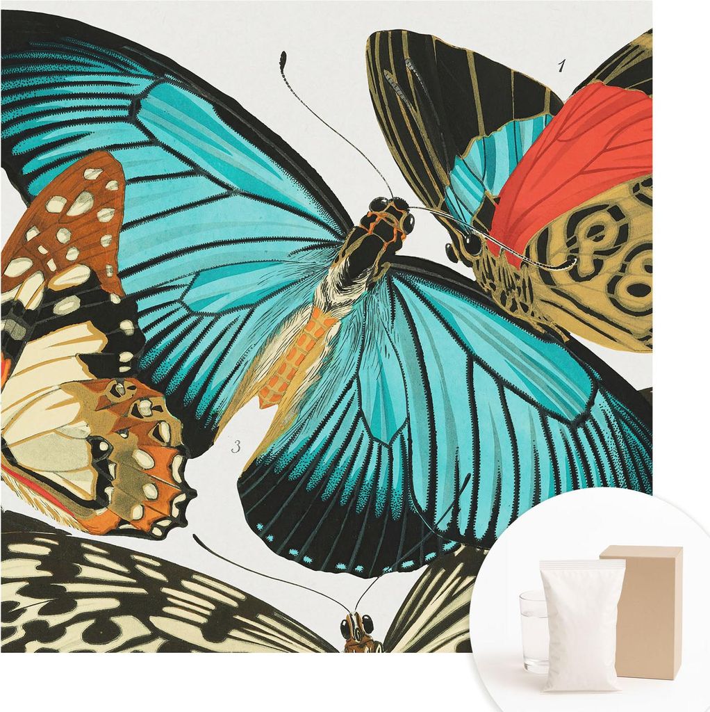 Fototapete - Wandbilder für Wohnzimmer - 250x250 cm - Dekorative Wandfolie - Modernes Design für Wanddekoration - Tapeten für Innenräume - Bunt...