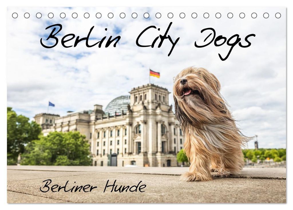 Berlin City Dogs - Berliner Hunde (Tischkalender 2027 DIN A5 quer), CALVENDO Monatskalender