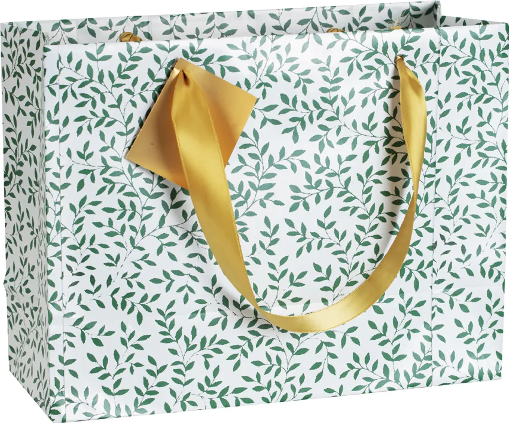 Clairefontaine Shopper Regalo Natale Émeraude 212886C - Formato Grande