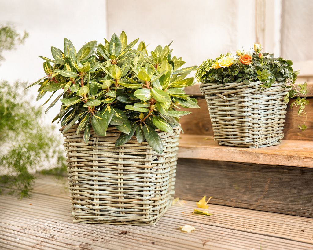 Pflanzer Rattan groß Blumenkasten Pflanzkorb Pflanzschale Produktbild 9
