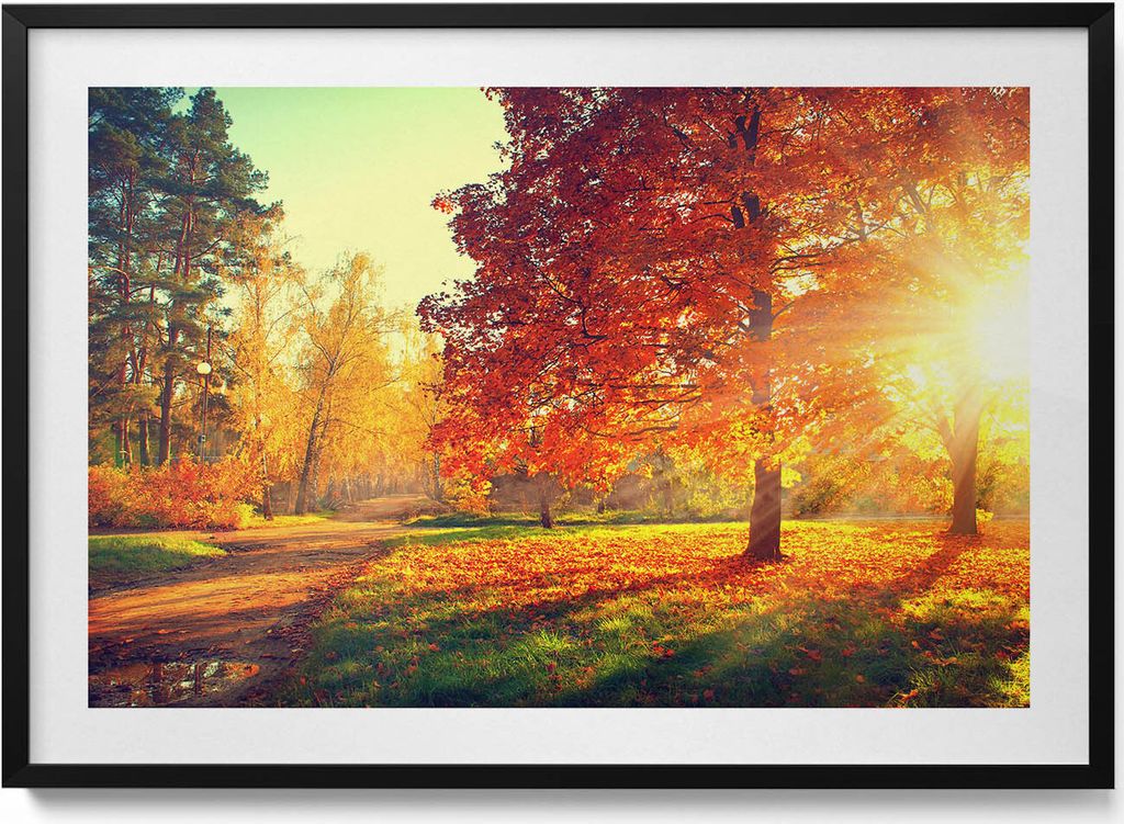 Herbstlicher Park– Wandbild mit Rahmen – Gerahmtes Bild – Wanddekoration – 100x70 cm – Schwarz Rahmen