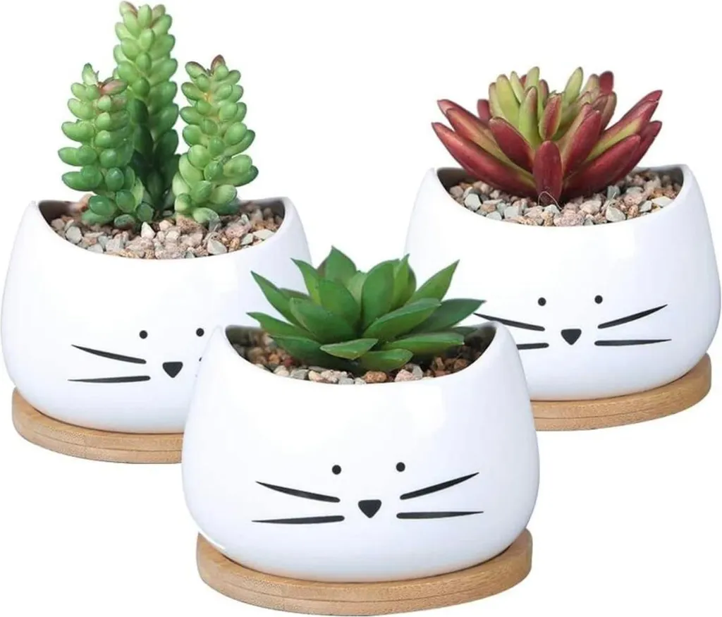 Petits pots de fleurs pour succulentes - Décoration bureau et maison