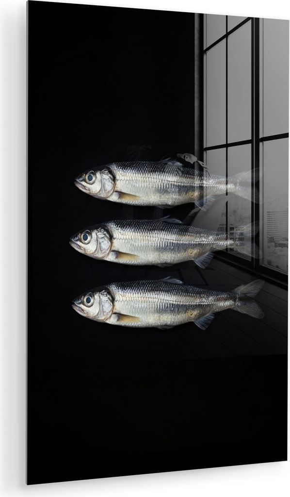 MuchoWow Glasbilder - Bilder auf Wandbild - Foto auf Glas Hering - Fisch - Schwarz 60x90 cm Wanddekoration aus Glas - Acrylglasbild - Acrylbilder -...