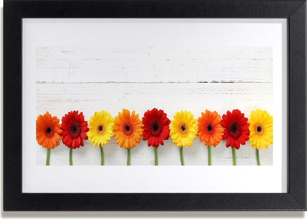 Bild 30x20 MDF-Rahmen Wandkunst Blumen Pflanzen Natur Produktbild 