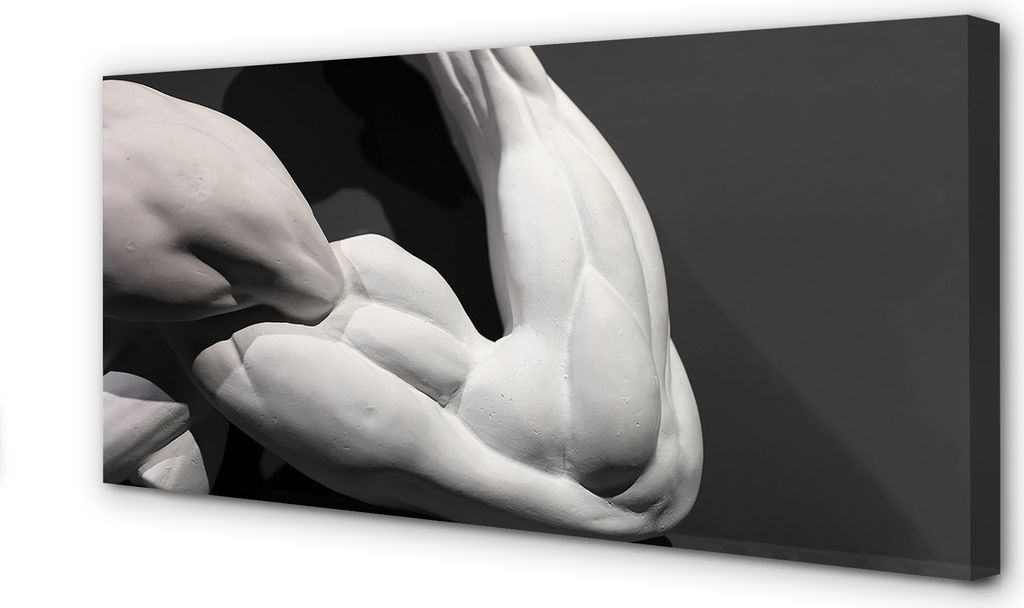 Leinwandbild 140x70 Wandkunst Muscle schwarz und weiß