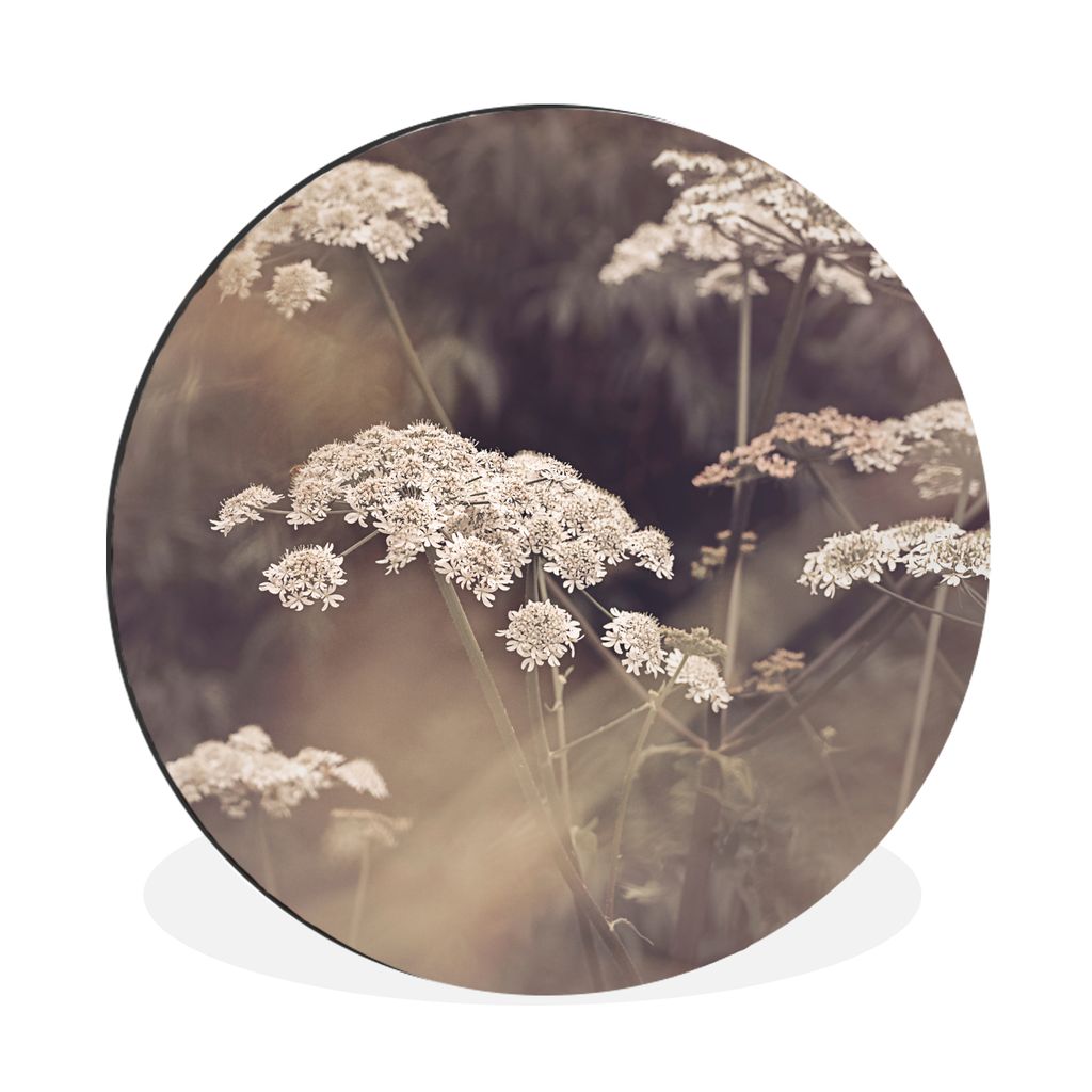 MuchoWow Aluminium Wandkreis Pflanze - Weiß - Natur - Blumen Ø 60 cm Wanddeko Modern Wohnzimmer - Wand Kreis - Wandbild - Schlafzimmer - Alumin...