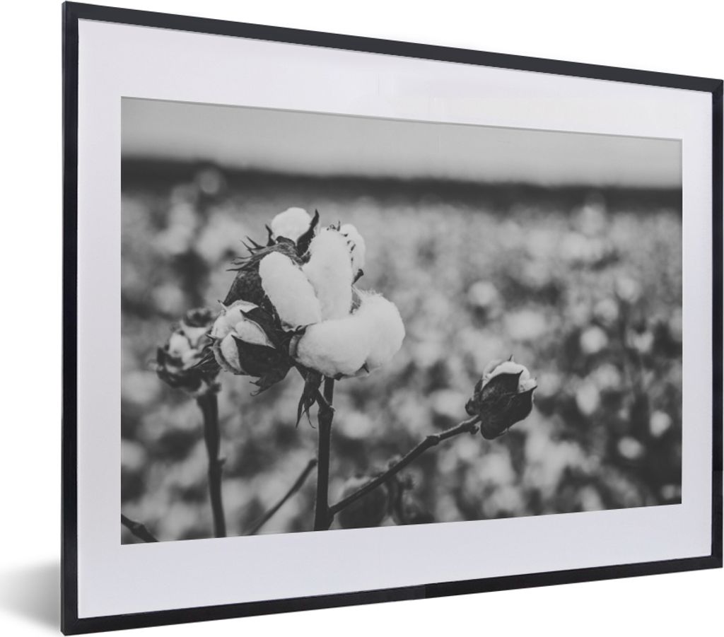 MuchoWow Gerahmtes Poster Baumwolle - Pflanzen - Schwarz - Weiß 40x30 cm - Poster mit Schwarzem Bilderrahmen Wandposter Rahmen Foto Bilder - Bil...