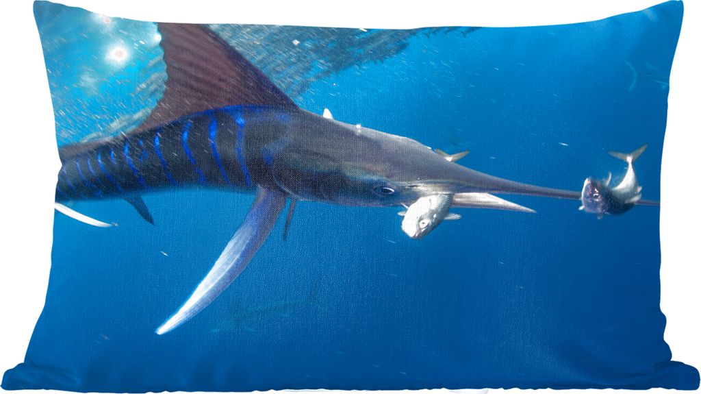 MuchoWow Zierkissen Sofakissen Wohnzimmer Dekokissen 50x30 cm Schwertfisch - Blau - Wasser - Wohnzimmerdekoration - Polster mit Photo