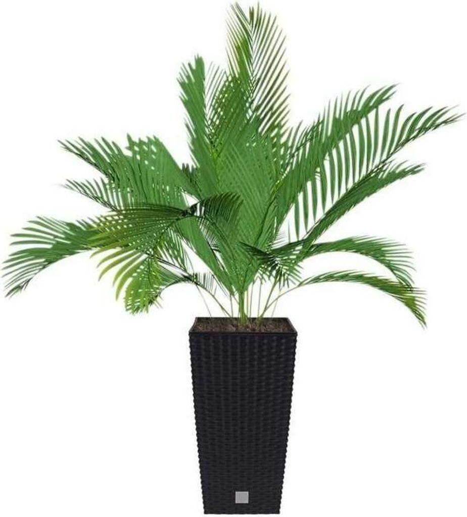 Blumentopf + Einsatz Blumenkübel Rattan RATO SQUARE DRTS225 Produktbild 22