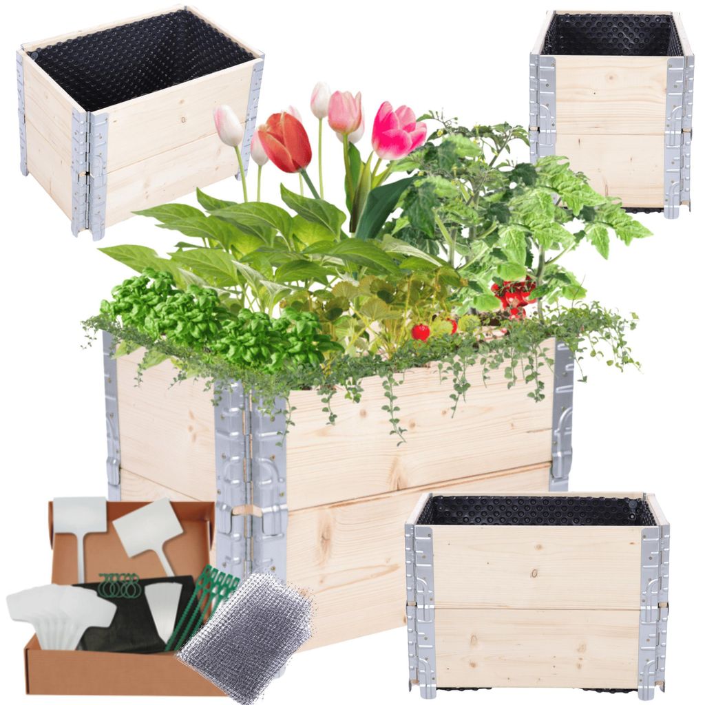 MODO24 Hochbeet Holz, Noppenfolie, Pflanzrahmen, Kräuterbeet, Gemüsebeet, Massivholz Kiefer, 40x60x40 cm, Natur unbehandelt, ZP10