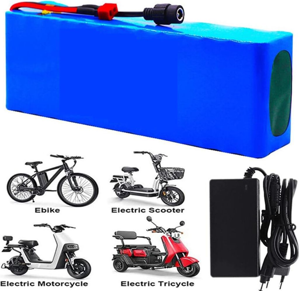 48V 25Ah E-Bike Akku Mit Ladegerät - Lithium-Ionen Für 1200W Motoren