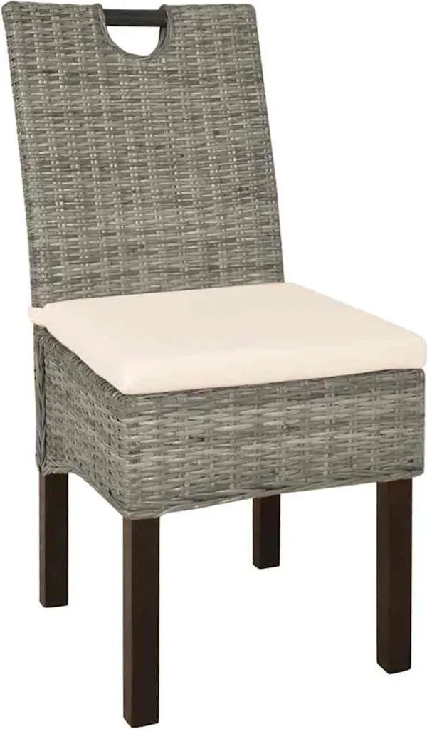 Lot de 2 Chaises de Salle à Manger Confortables en Rotin pour Salon et Séjour