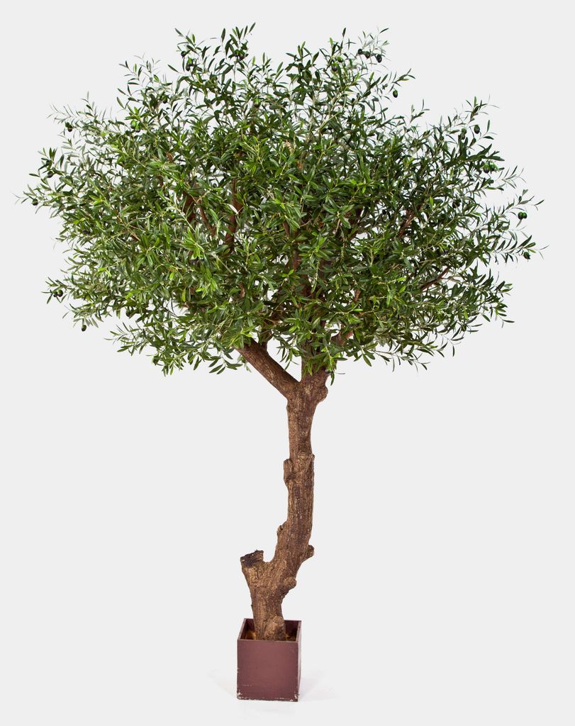 artplants.de Deko Olivenbaum, 13668 Blätter, 270cm - künstlicher Baum