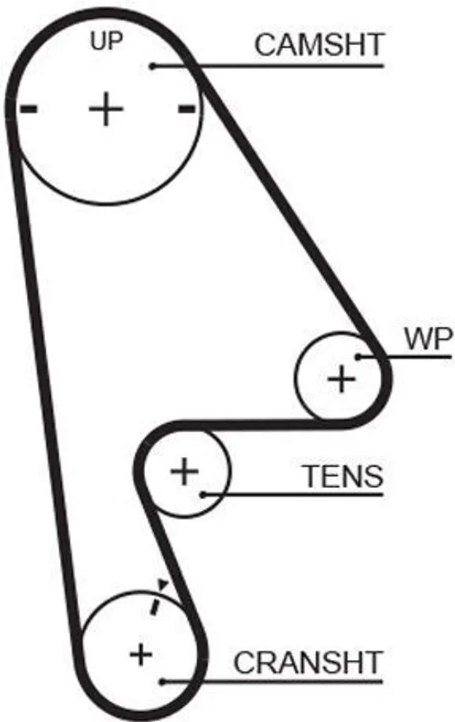 Courroie crantée moteur 5409XS Gates pour modèle Honda Civic série 6