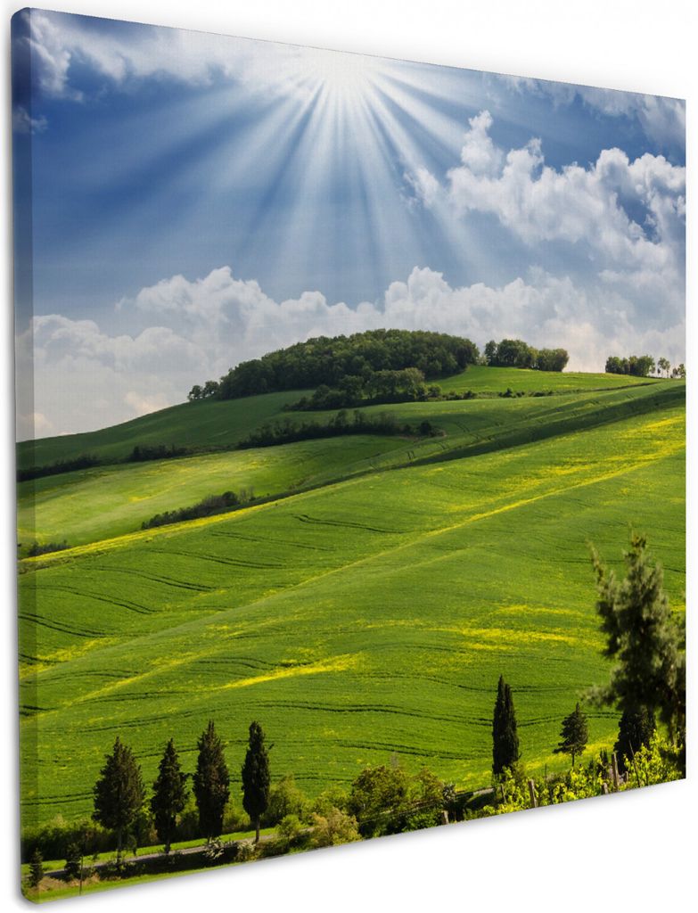 Wallario Premium Leinwandbild Strahlender Sonnenschein in Größe 50 x 50 cm