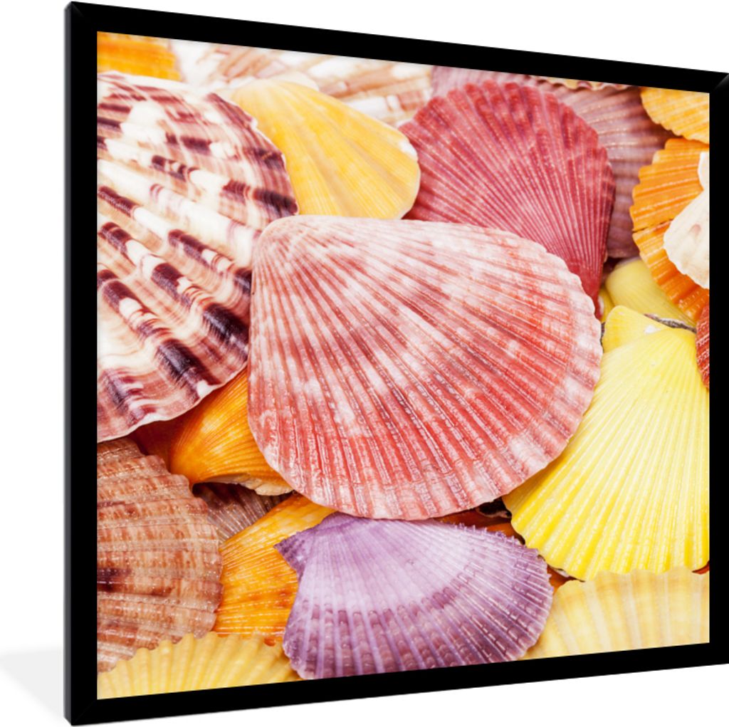 MuchoWow Gerahmtes Poster Muscheln - Rot - Gelb - Strand - Sommer 40x40 cm - Poster mit Schwarzem Bilderrahmen Wandposter Rahmen Foto Bilder - Mi...