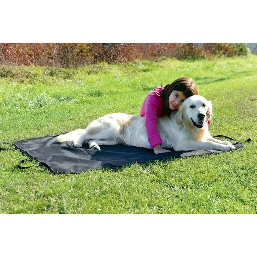 Zolux Coperta Auto Cani Poliestere 132x124 - Protezione Sedili Posteriori - 3
