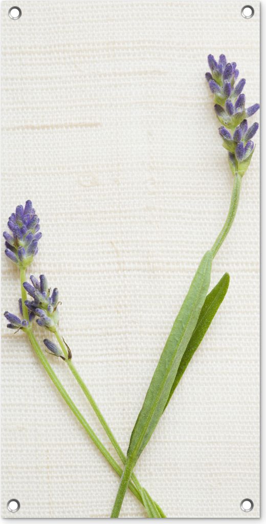 MuchoWow 40x80 cm Outdoor-Poster Gartendeko Sichtschutz Garten Poster für den Garten Studioaufnahme von Lavendel