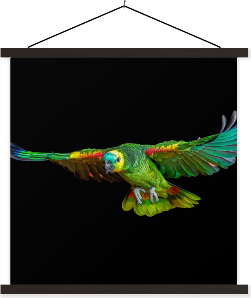 MuchoWow Textilposter Papagei - Vogel - Federn 120x120 cm mit schwarzem Rahmen - Aufhängungsset