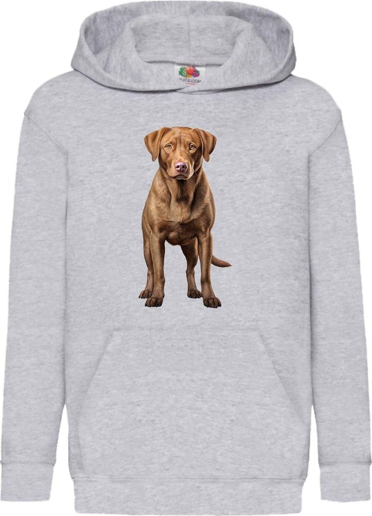 Kinder Kapuzenpullover Dogs Breeds Chesapeake Bay Retriever Dog Breed 005, 7-8 Jahr - 128 / Grau