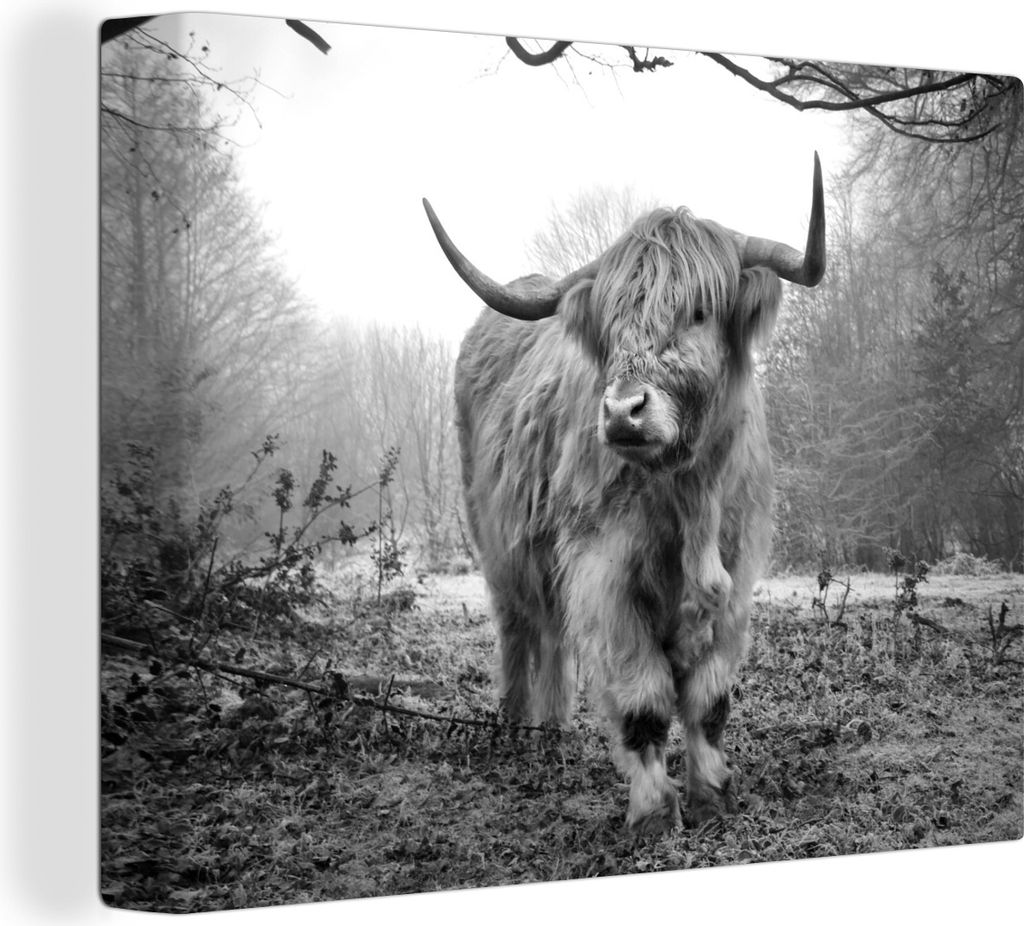 MuchoWow® - Leinwandbilder - Schottische Highlander - Natur Produktbild 