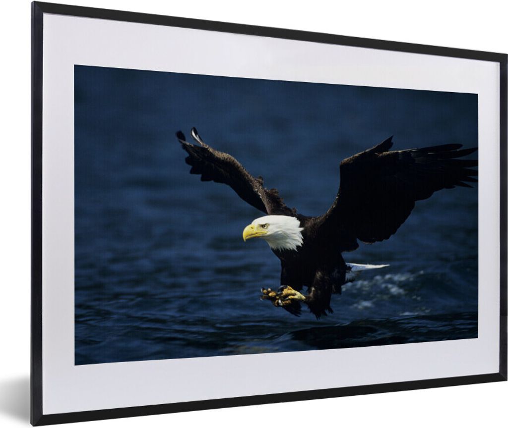 MuchoWow MuchoWow Gerahmtes Poster Adler - Nahaufnahme - Wasser 60x40 cm - Poster mit zchwarzem Bilderrahmen - Schlafzimmer - Plakat in Rahmen ...