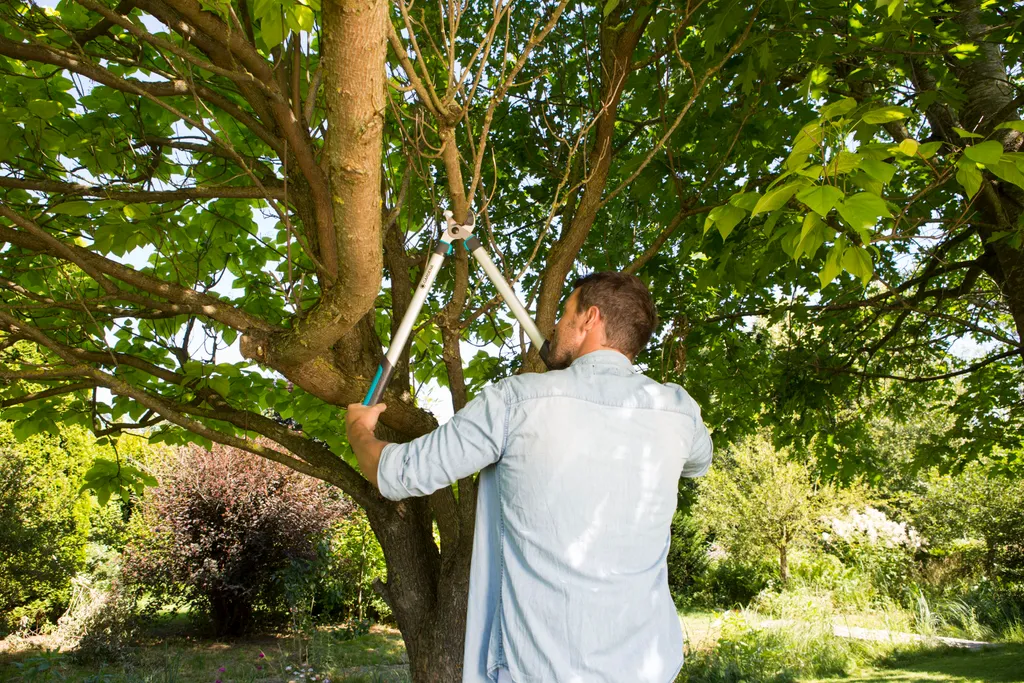 Gardena EasyCut 680A : Coupe-branches léger à levier de force optimisé
